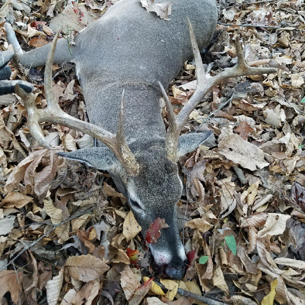 Meet your Posher, Bryant